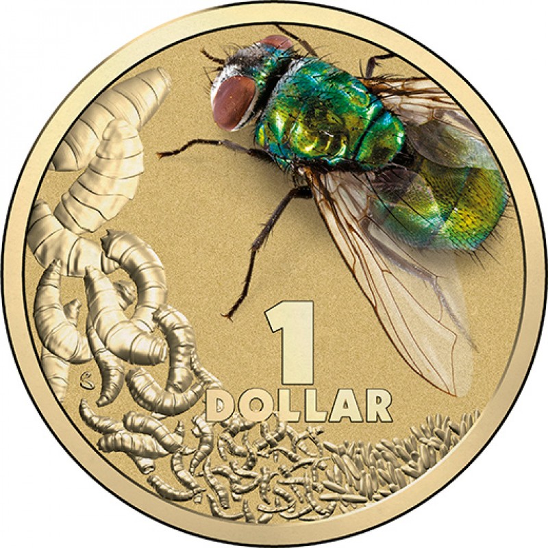 2014-bright-bugs-blowfly-colour-unc-coin.jpg