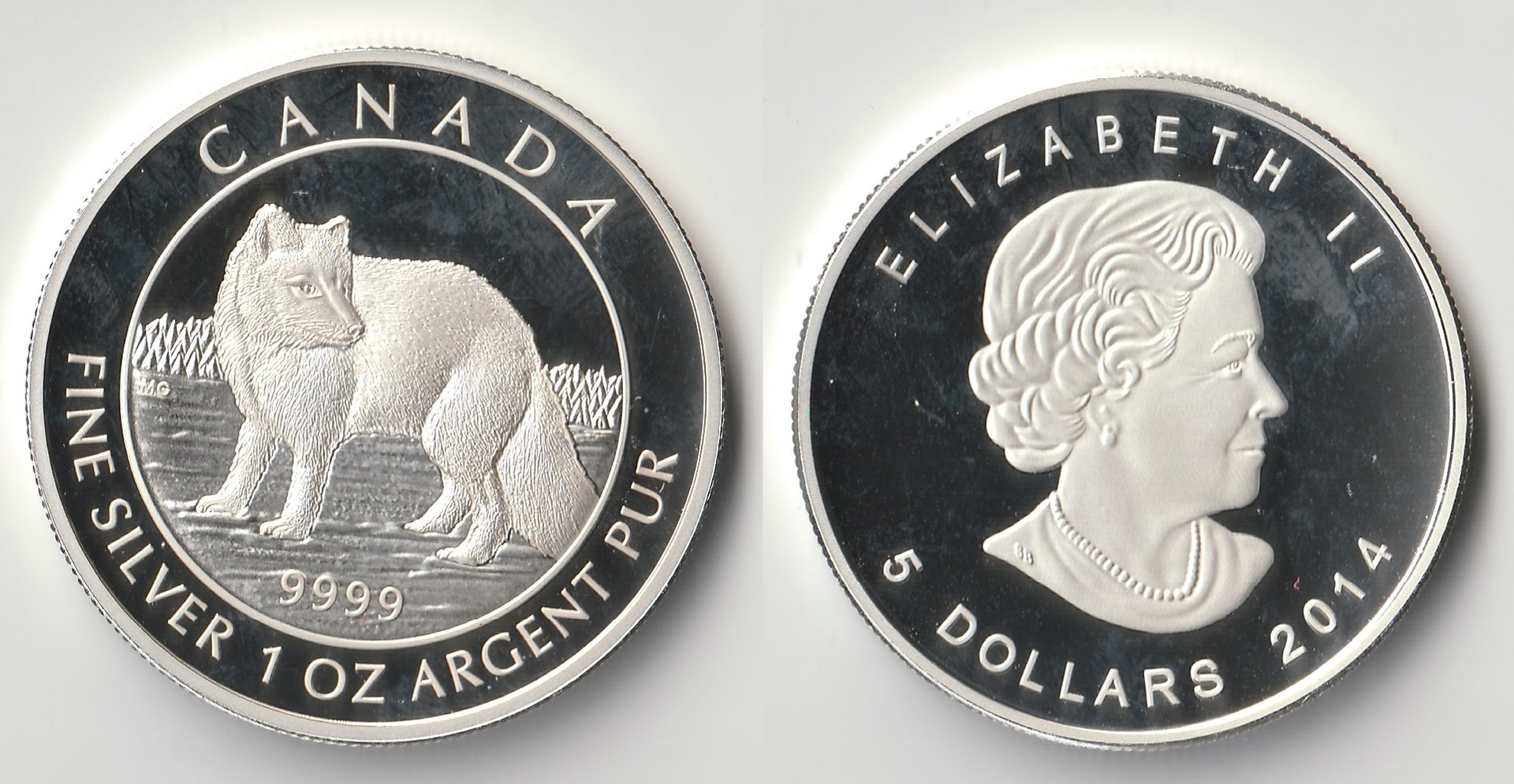 2014 canada 5 dollars fox.jpg