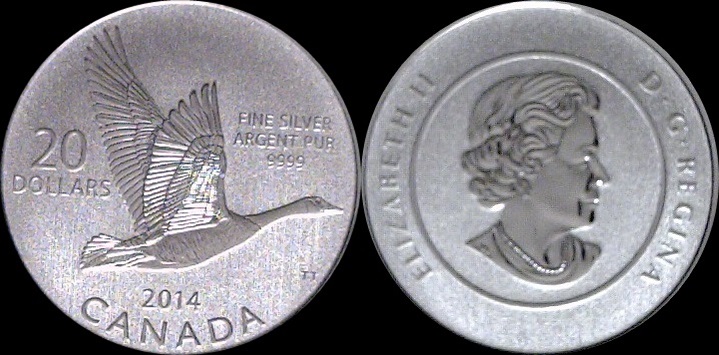 2014 Canada Goose a az-horz.jpg