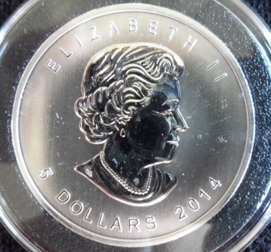 2014 Canadian 5 Dollars Birds of Prey Silver Dollar ObverseSM.JPG