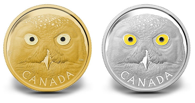 2014-Canadian-Snowy-Owl-Gold-and-Silver-Coins.jpg