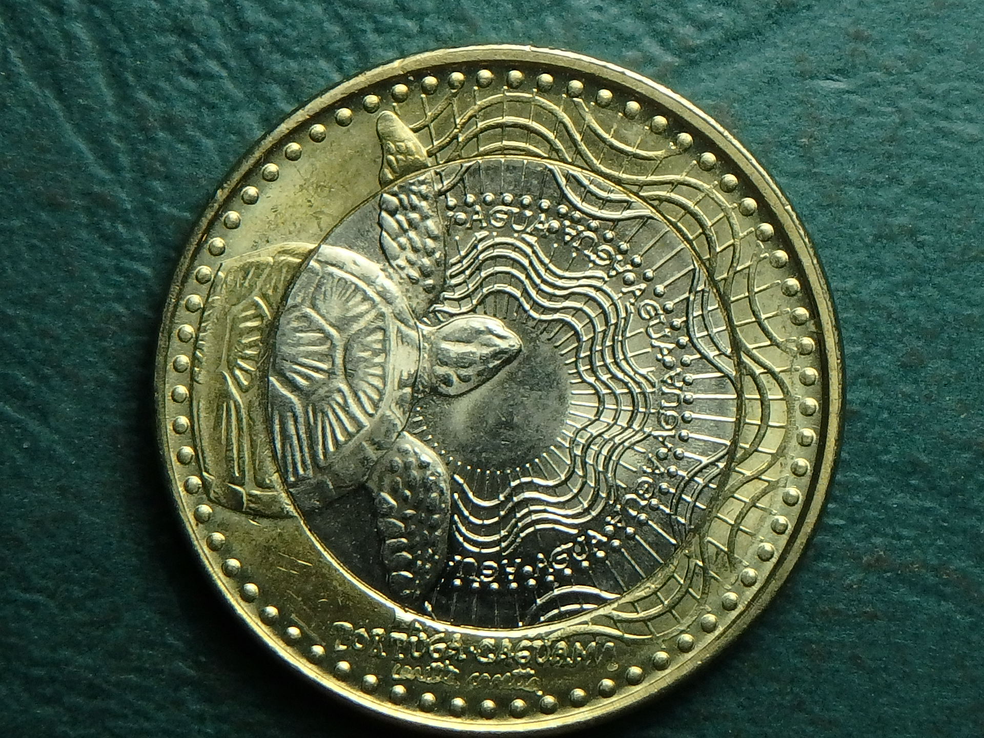 2014 CO 1000 p obv.JPG