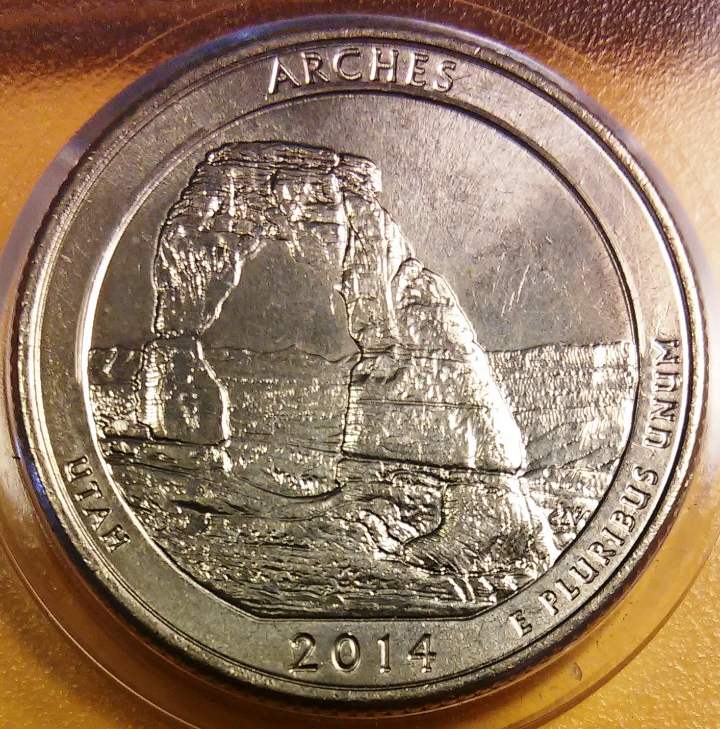 2014 d date full rev 20.jpg