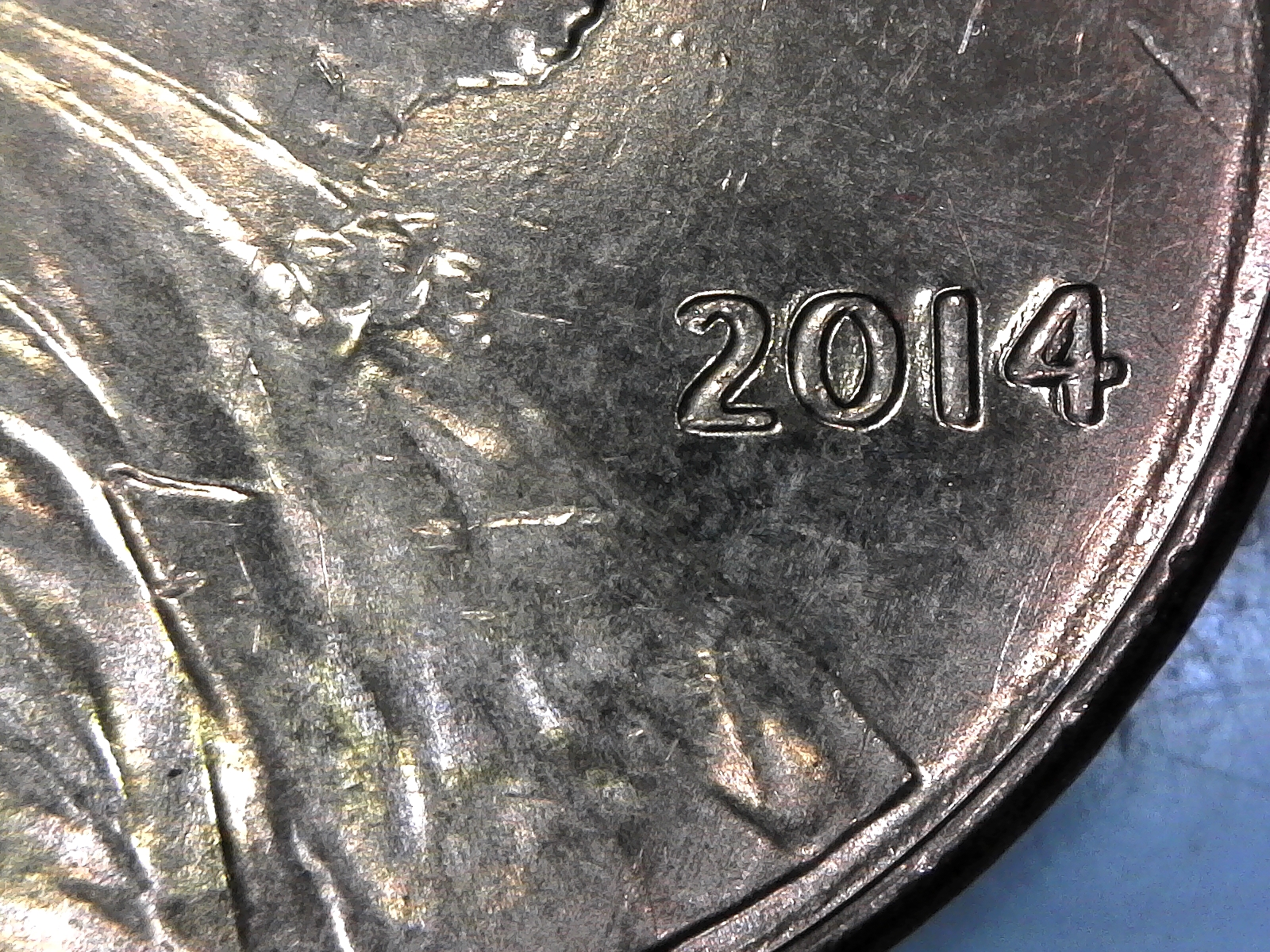 2014 ddo date.jpg