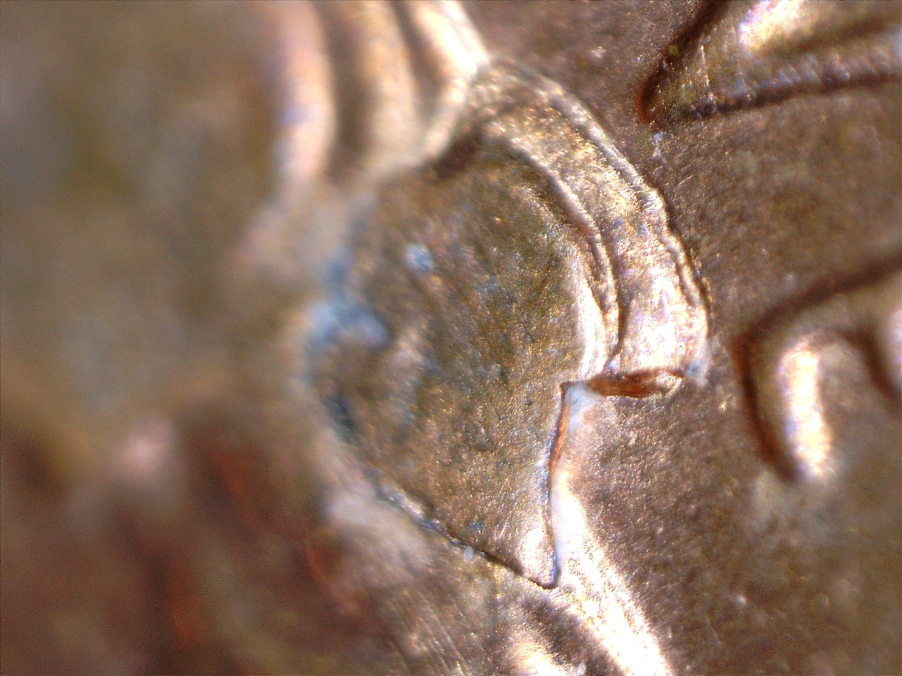 2014 Die chip (11).jpg