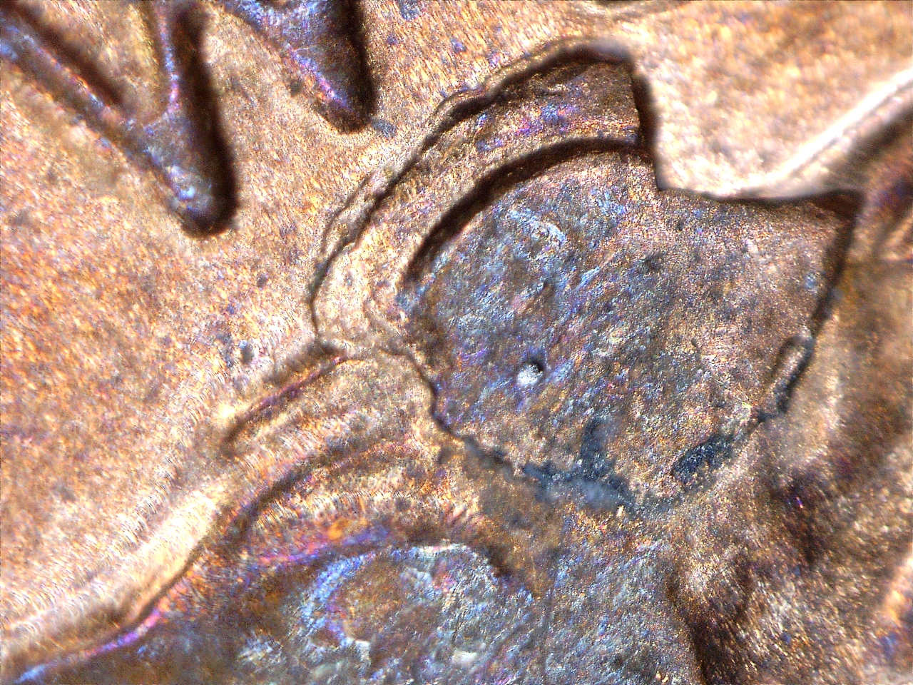 2014 Die chip (5).jpg