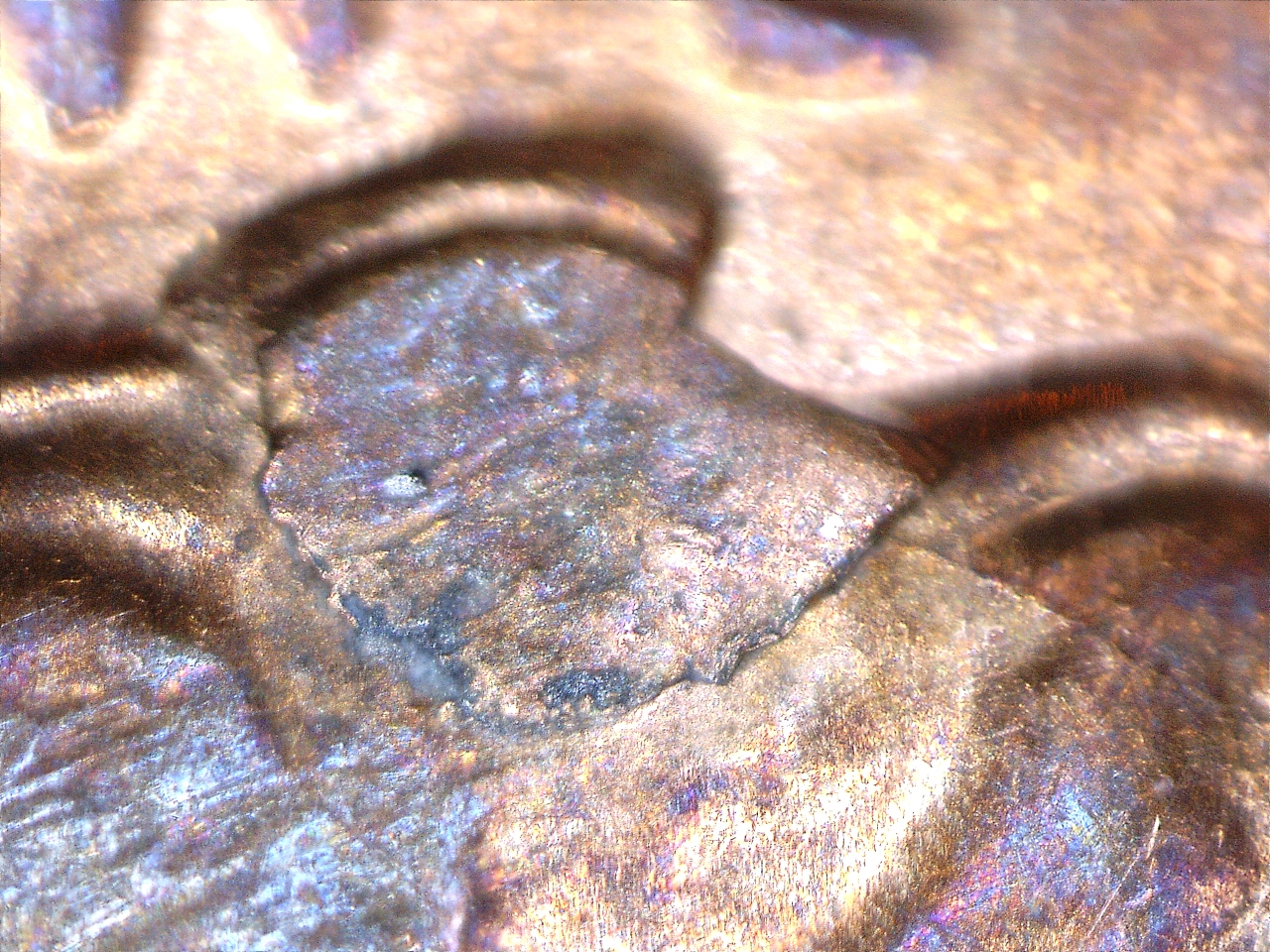 2014 Die chip (7).jpg