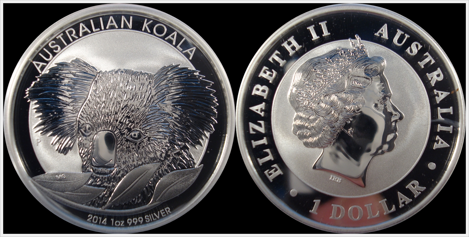 2014 koala.jpg