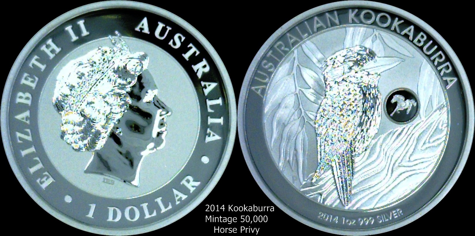 2014 Kookaburra horse privy.jpg