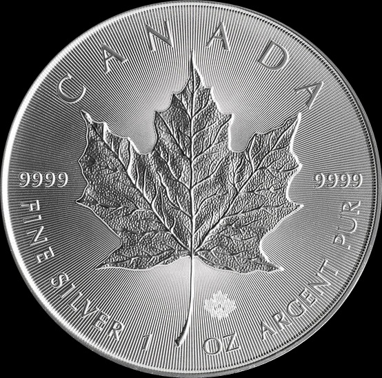2014 Maple Leaf a.jpg