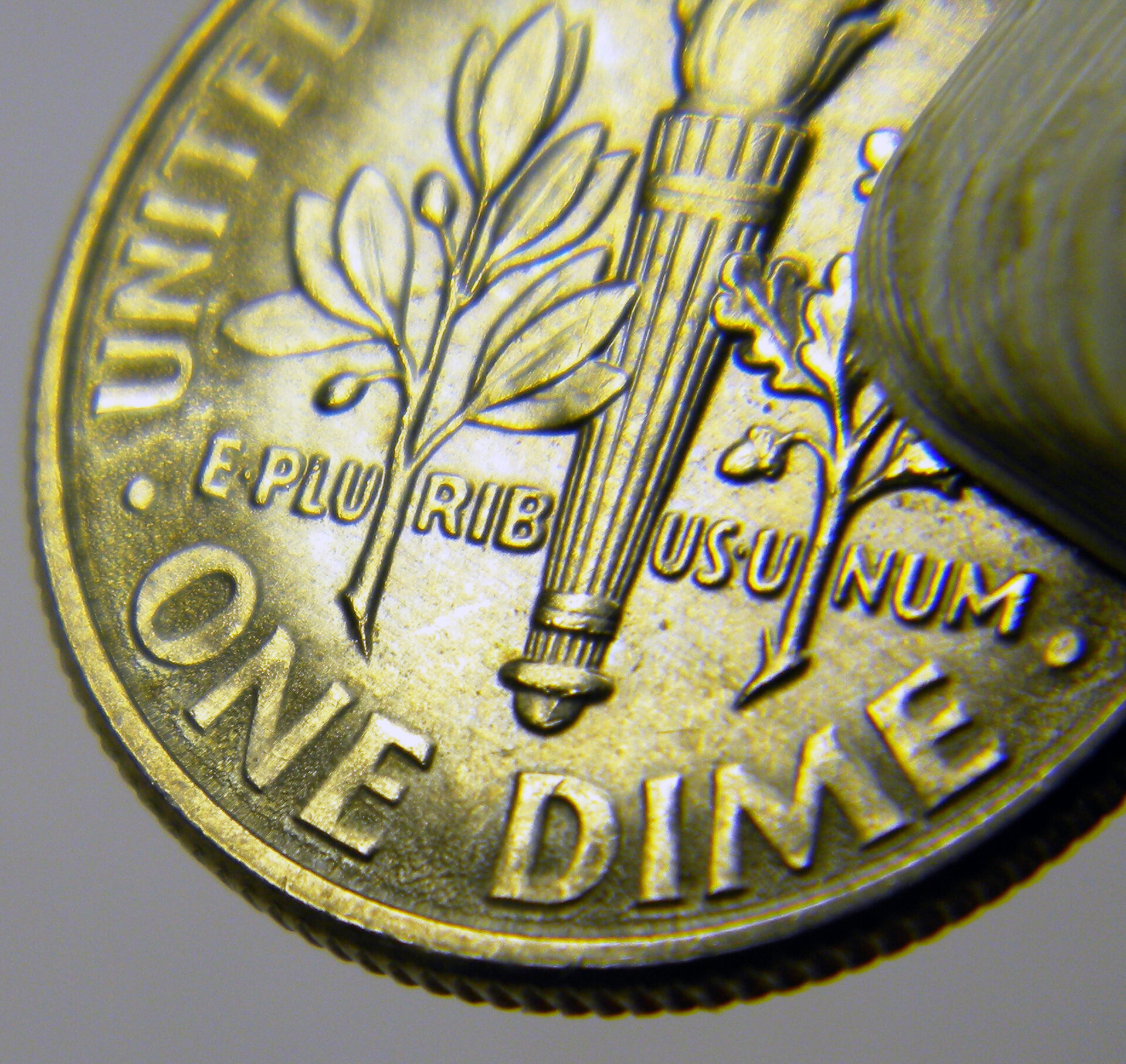2014 P Roosevelt Dime (CloseUp2a).jpg