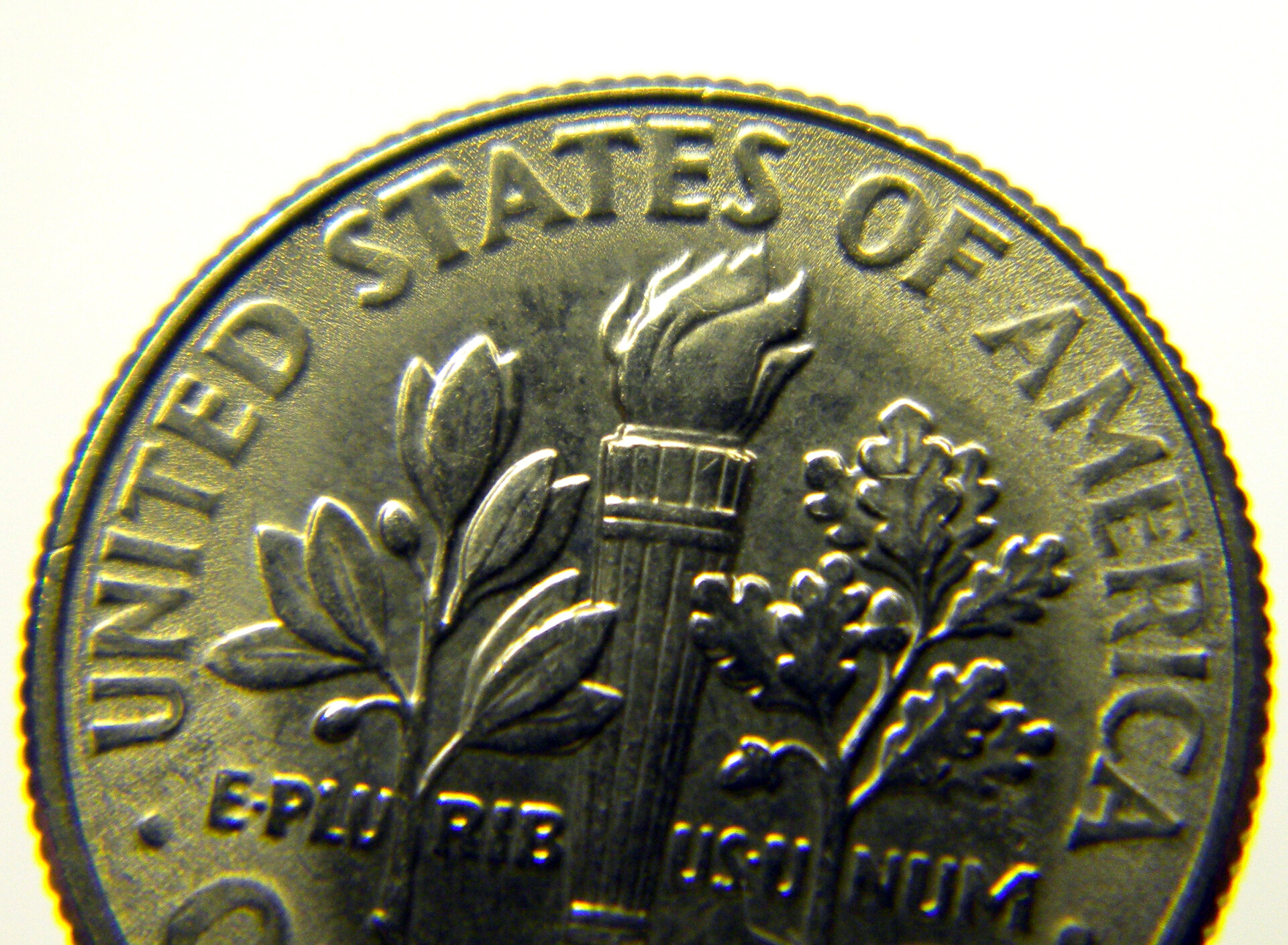 2014 P Roosevelt Dime (CloseUp3).jpg