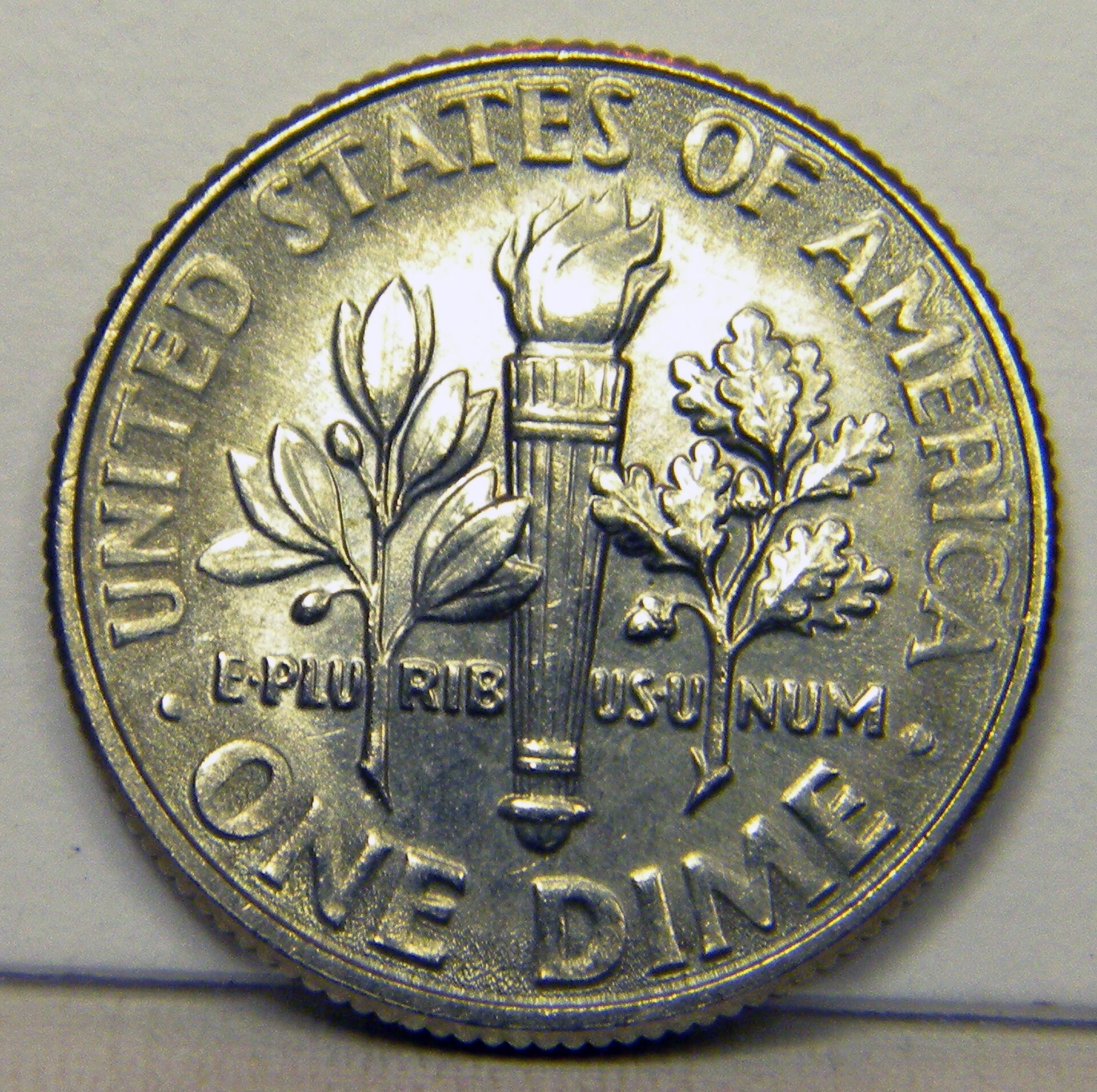 2014 P Roosevelt Dime (Reverse).jpg
