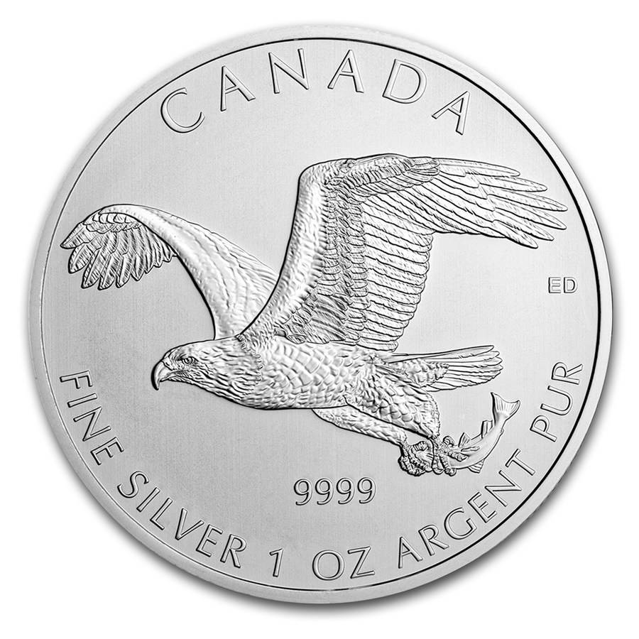 2014-RCM-Birds-of-Prey-Bald-Eagle-REV.jpg