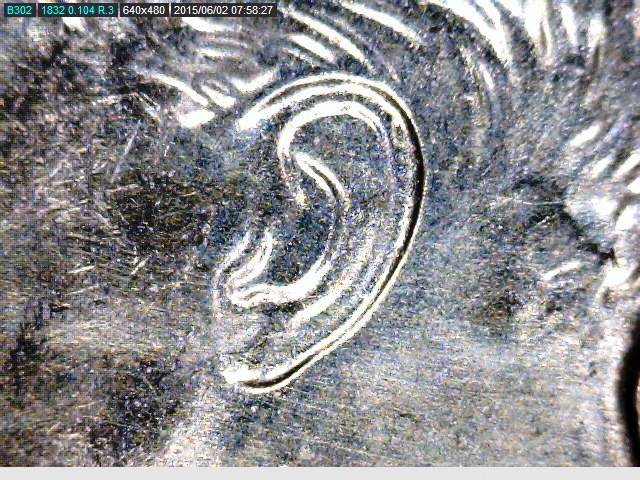 2014 Roosevelt ear.jpg