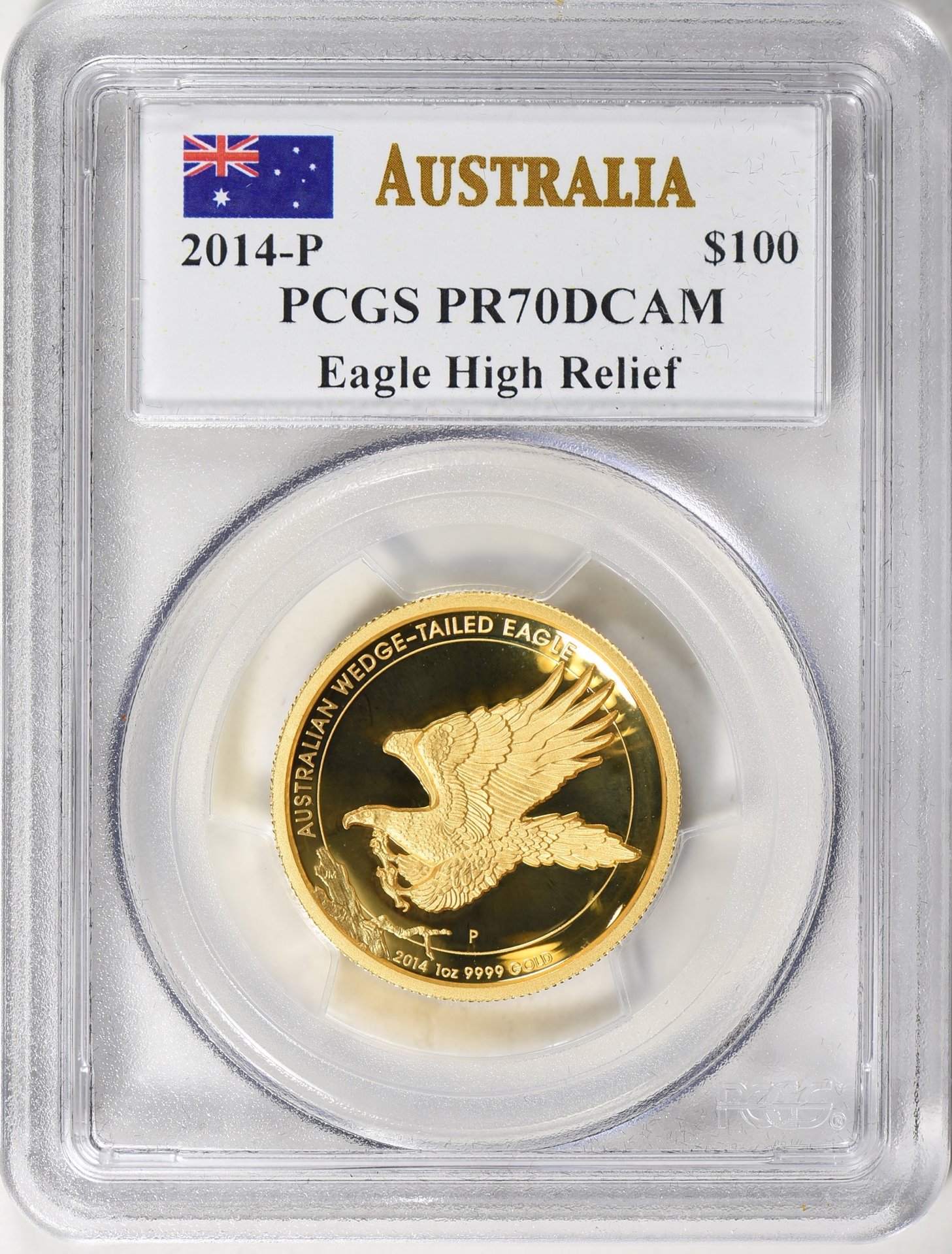 2014 Wedge-Tailed Eagle.jpg