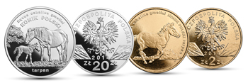 20140219_Konik-Polski.jpg