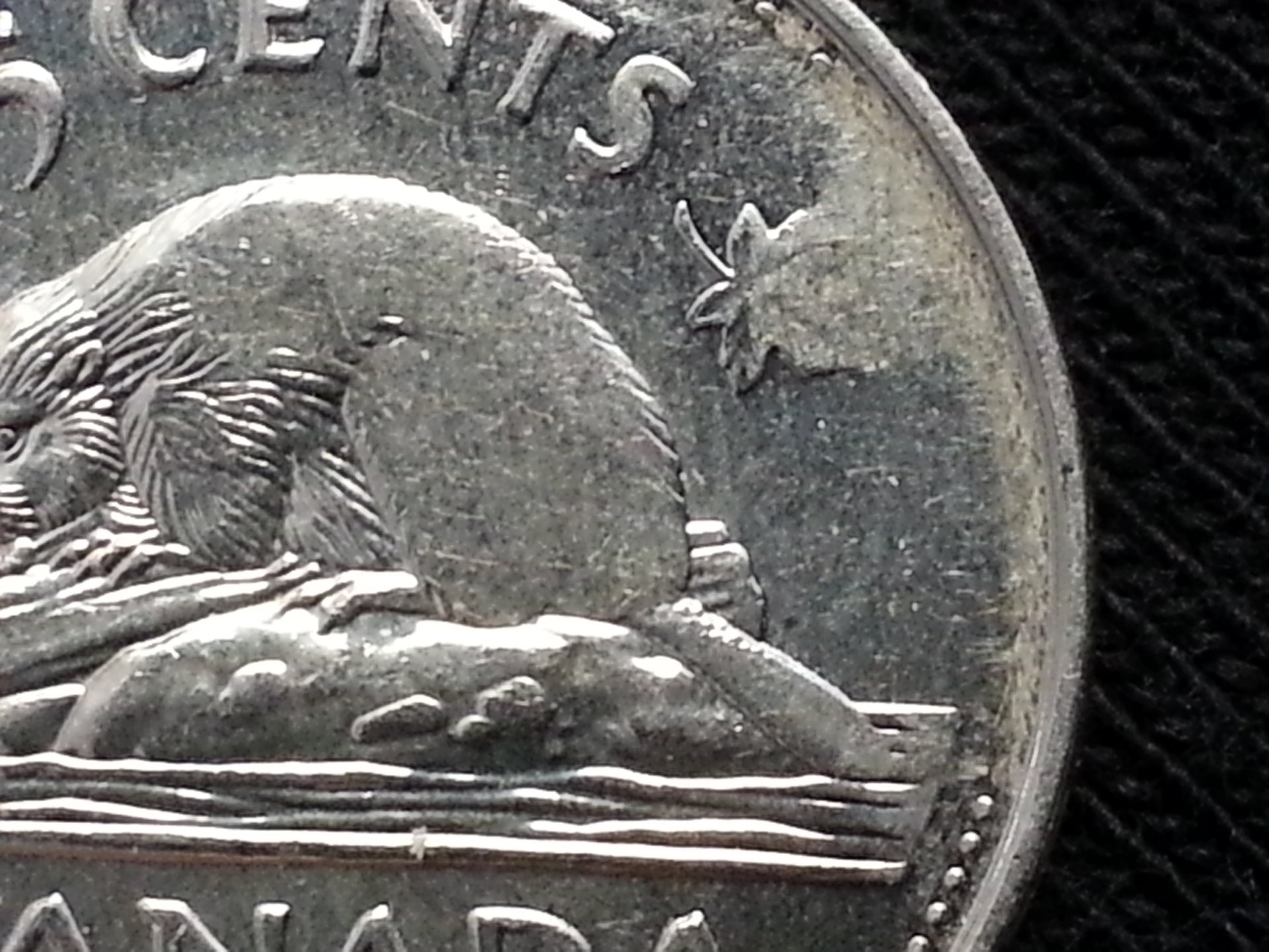 20140323_160944.jpg