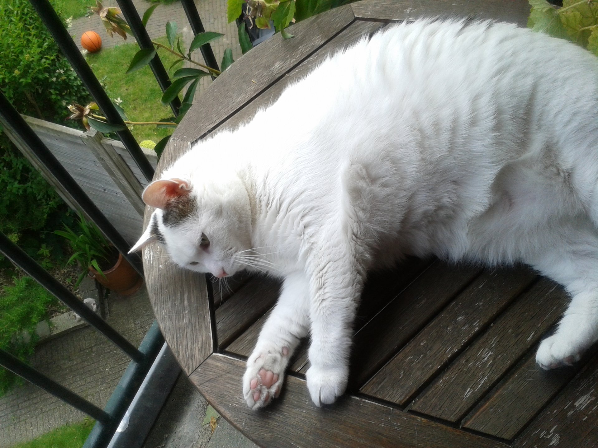 20140621_151703.jpg