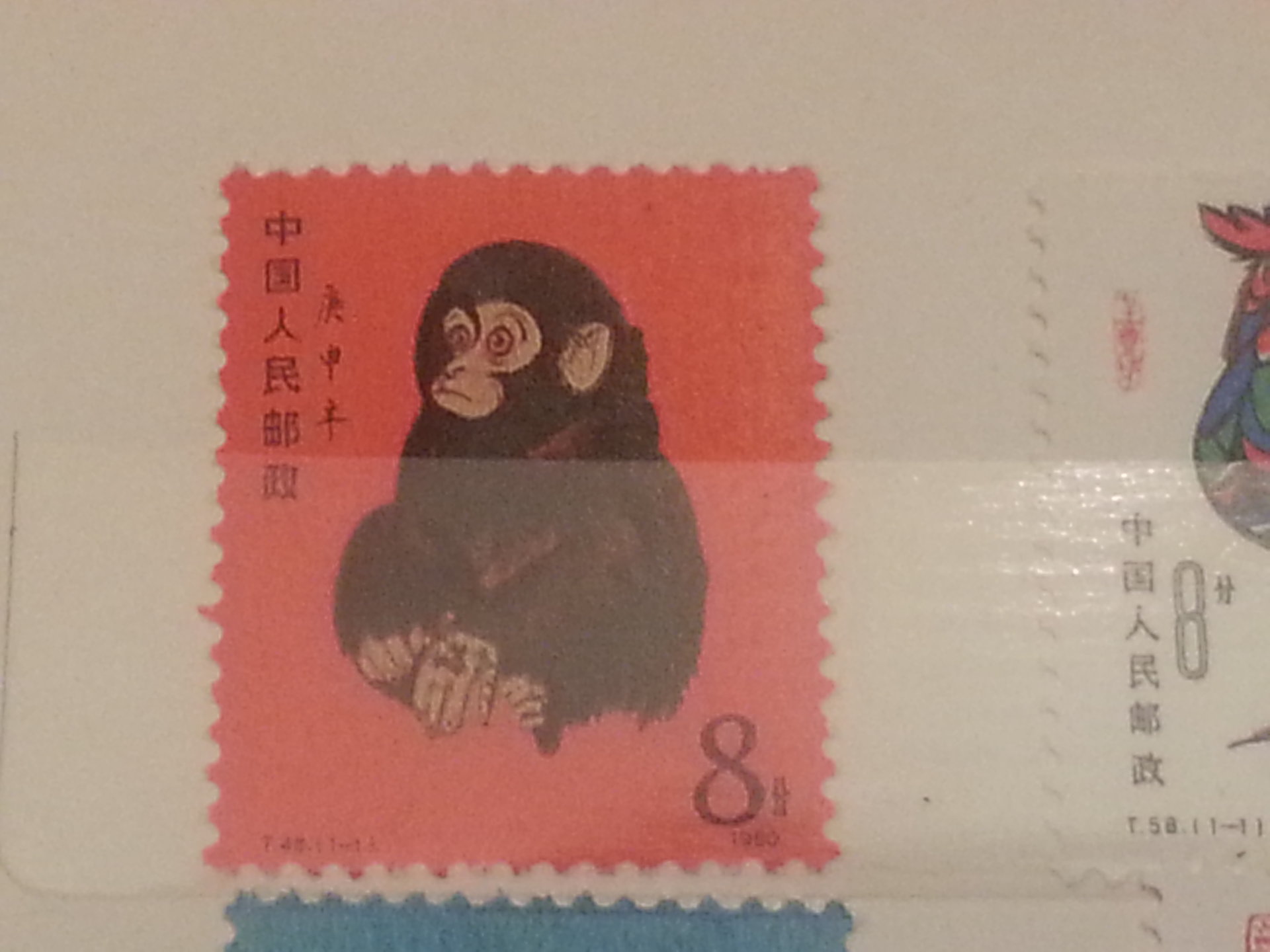 20140726_131932.jpg