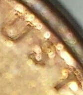 20141002_164734-1-3-1.jpg