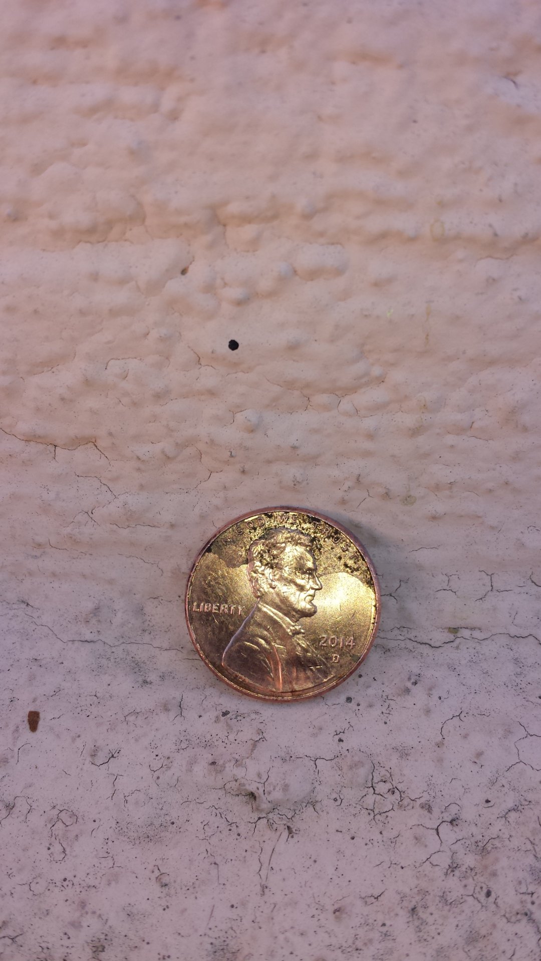 20141007_103434.jpg