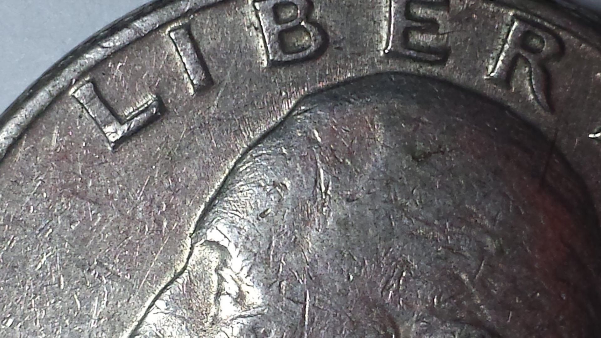 20141109_112415.jpg