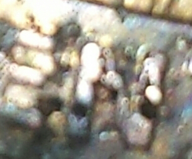 20141119_213028-2-1.jpg