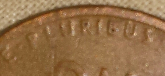 20141216_120232-1.jpg