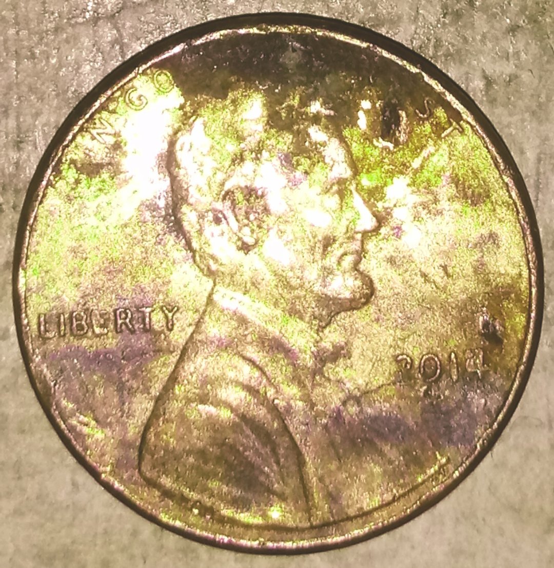 2014Penny.jpg