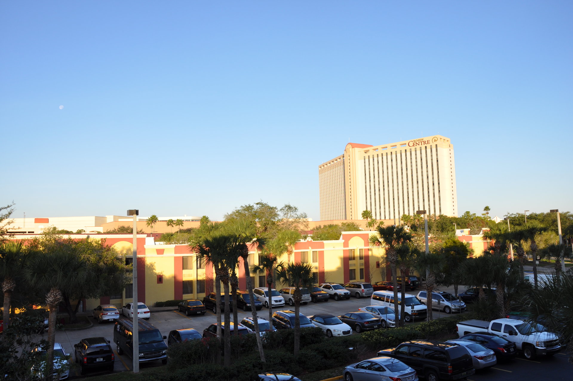 2015-01-08 08.19.14.jpg