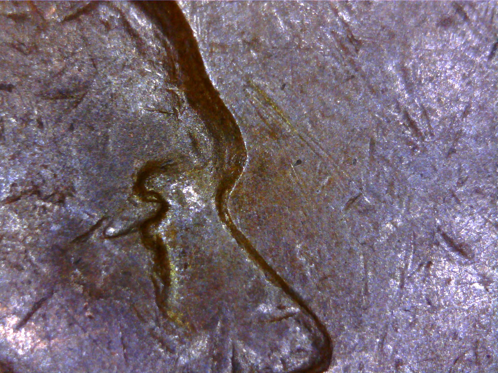 2015-01-16_150817_091.jpg