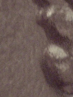 2015-03-24 15.56.31.jpg