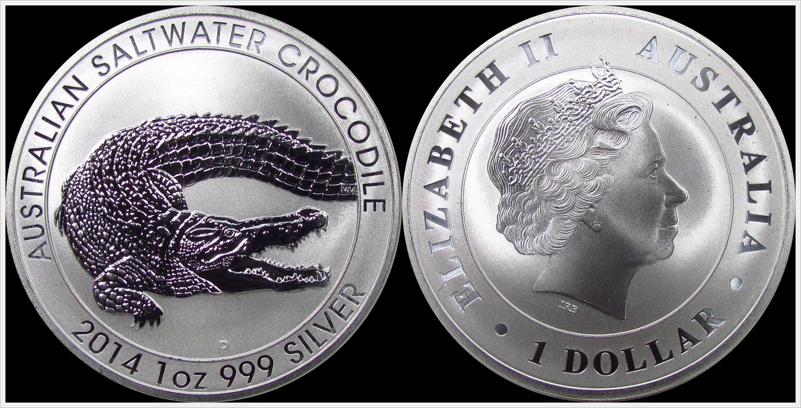 2015 Australia Crocodile.jpg