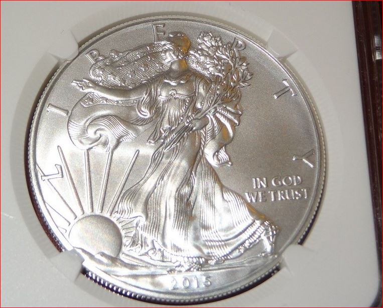 2015 Burnished Eagle MS70.JPG