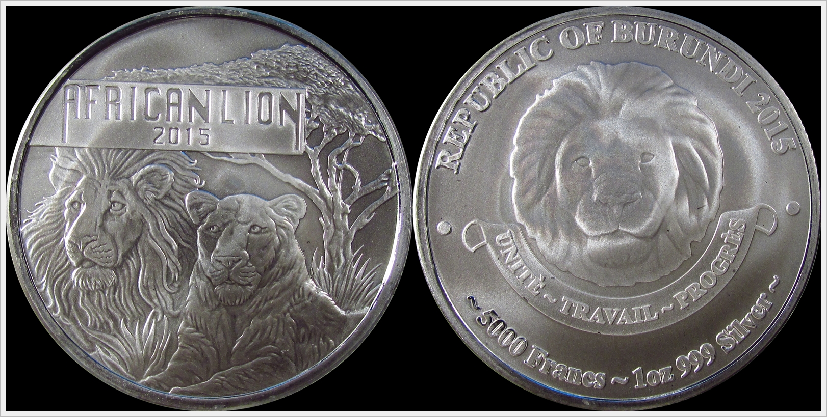 2015 Burundi African Lion.jpg