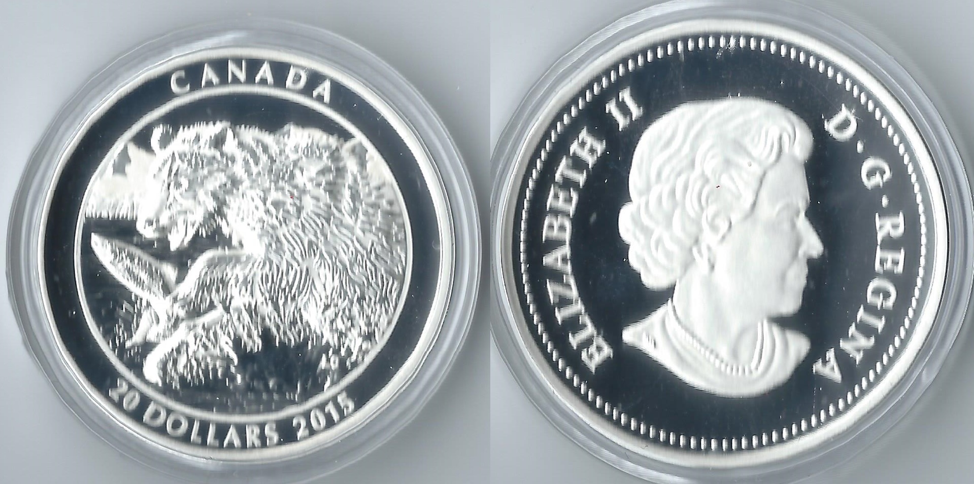 2015 canada 20 dollars catch.jpg