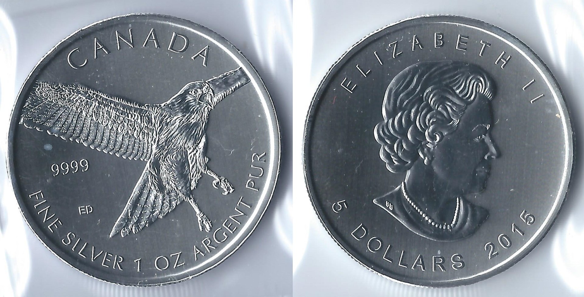 2015 canada 5 dollars hawk.jpg