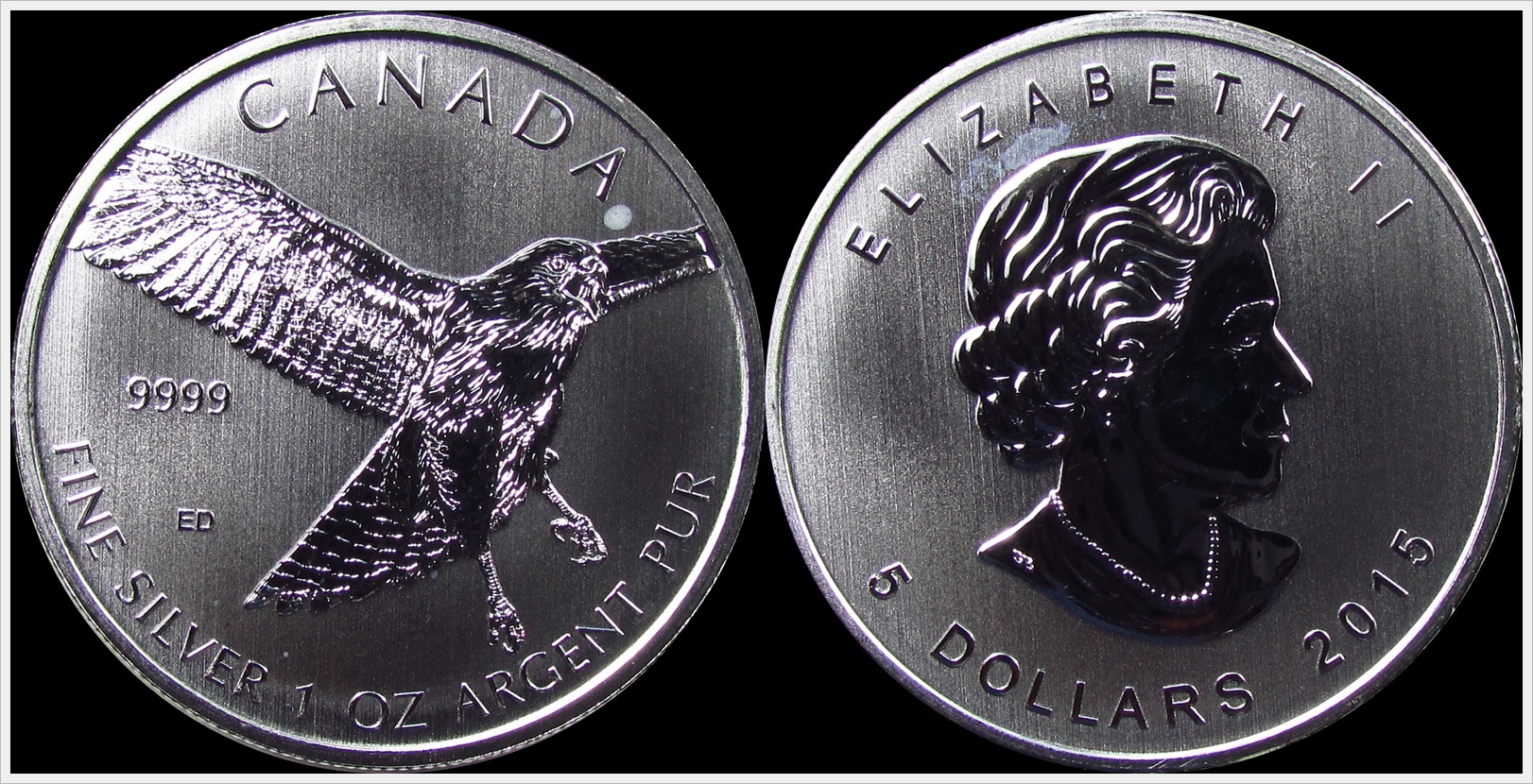 2015 Canada Retail Hawk.jpg