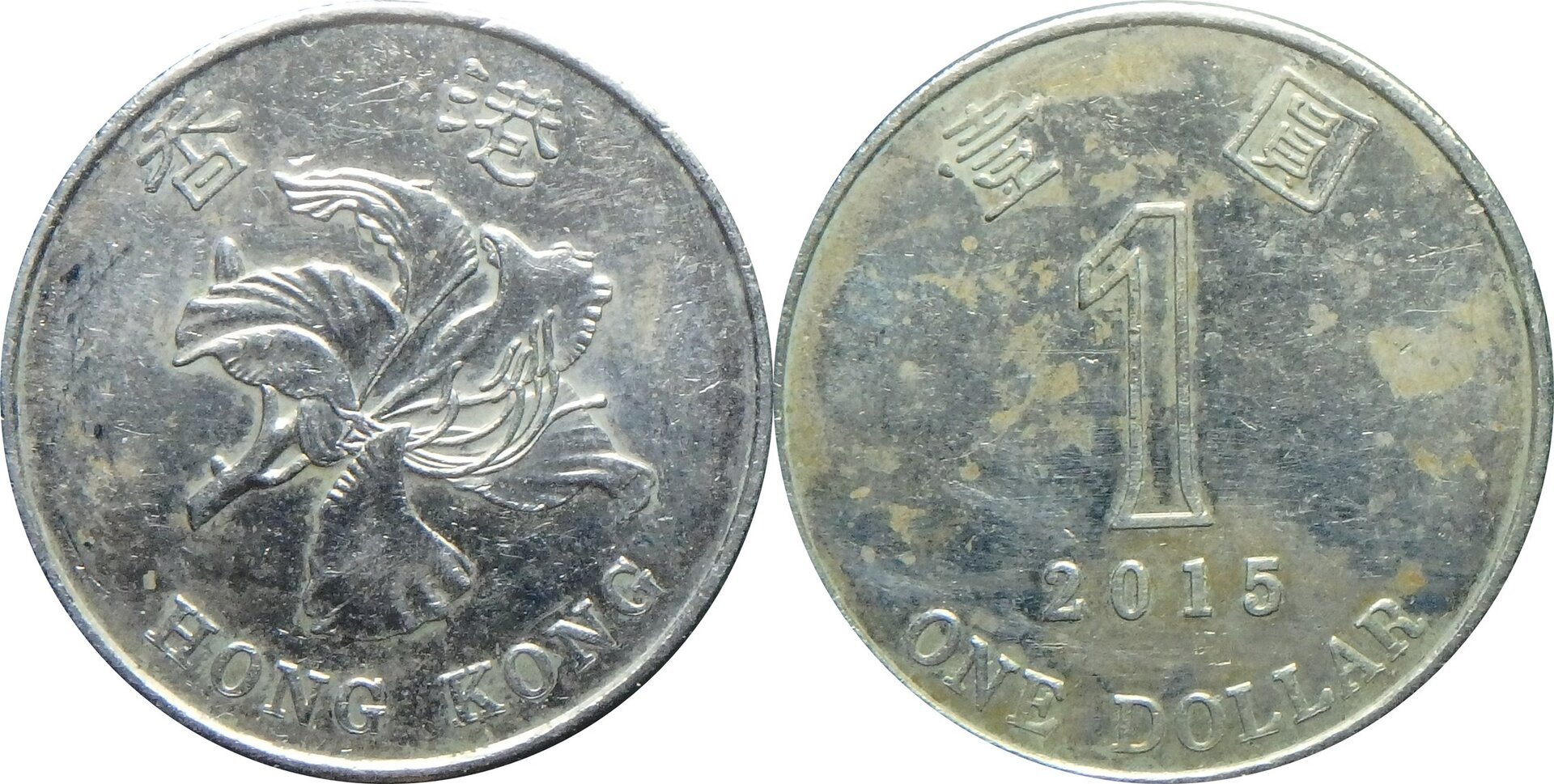 2015 CN-HK 1 d.jpg