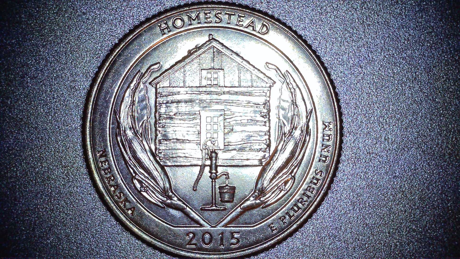 2015 D Homestead 2 SnORf Quarter rev 2.jpg