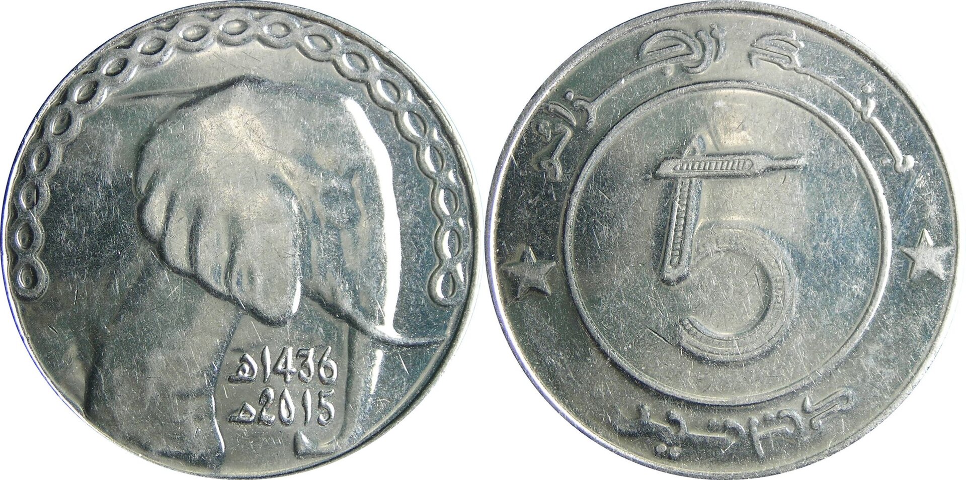 2015 DZ 5 d.jpg