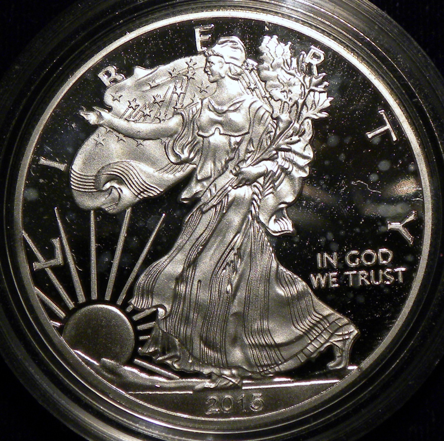 2015 Eagle Nikon O.jpg