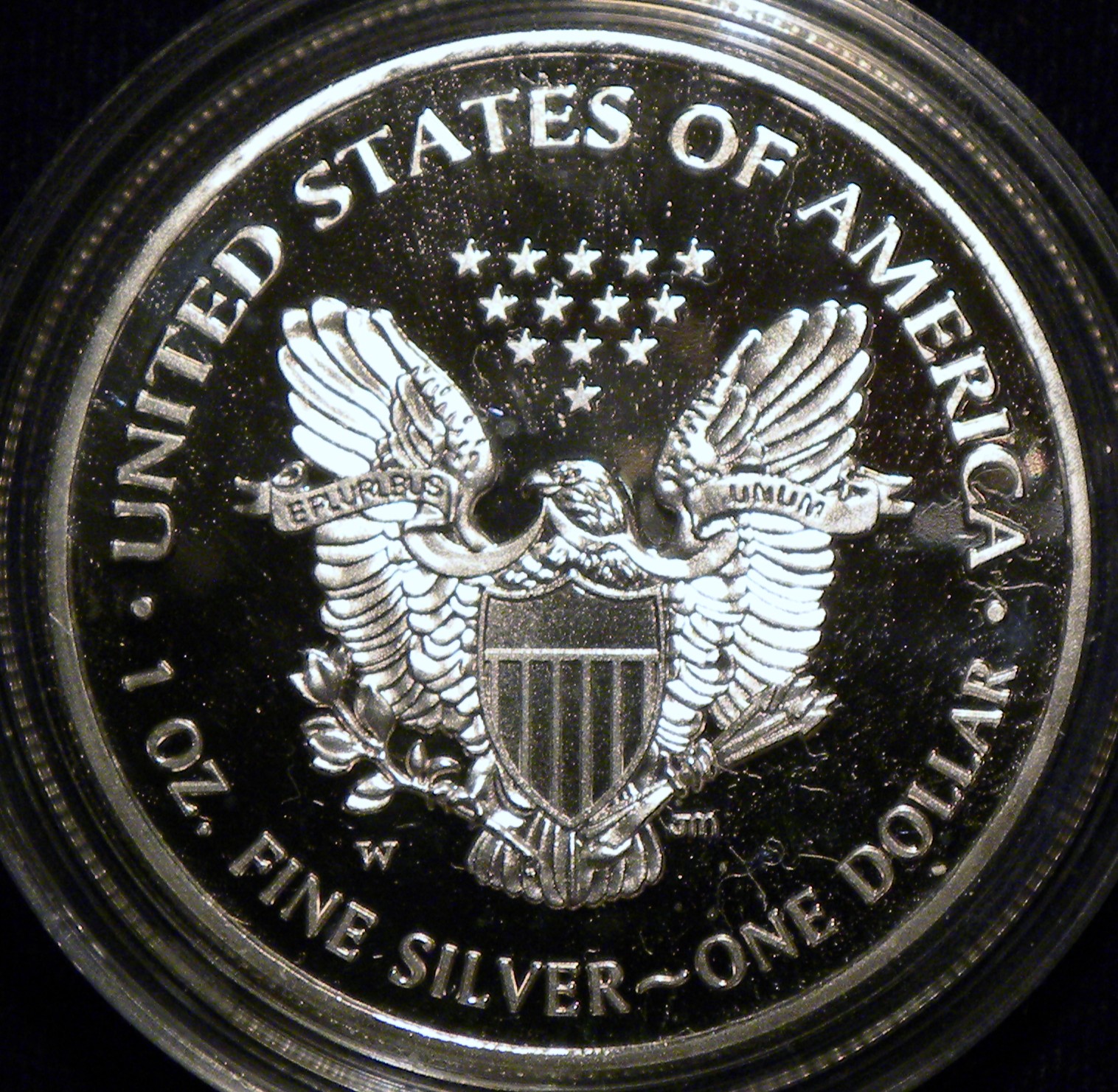 2015 Eagle Nikon R.jpg