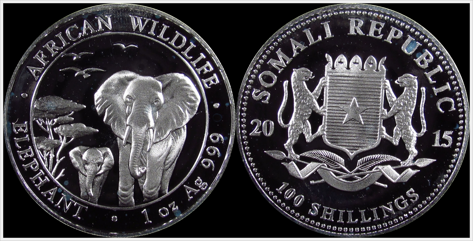 2015 elephant.jpg