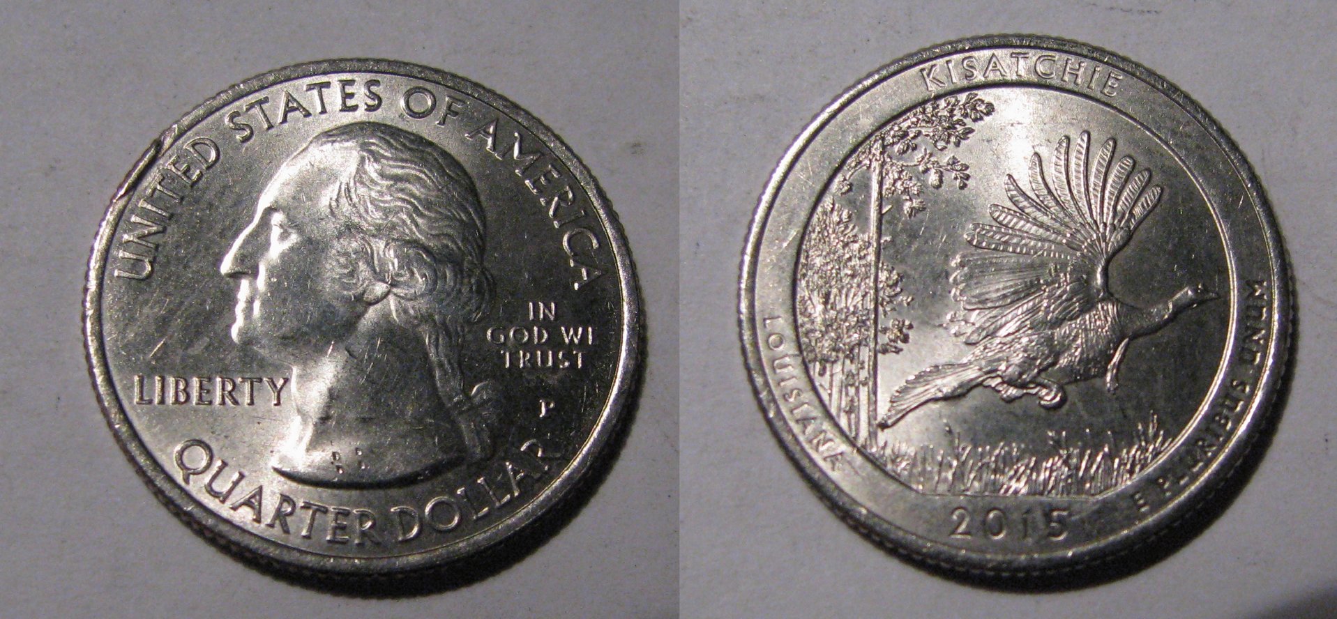 2015 Kisatchie Rim CUD 12JAN16.jpg