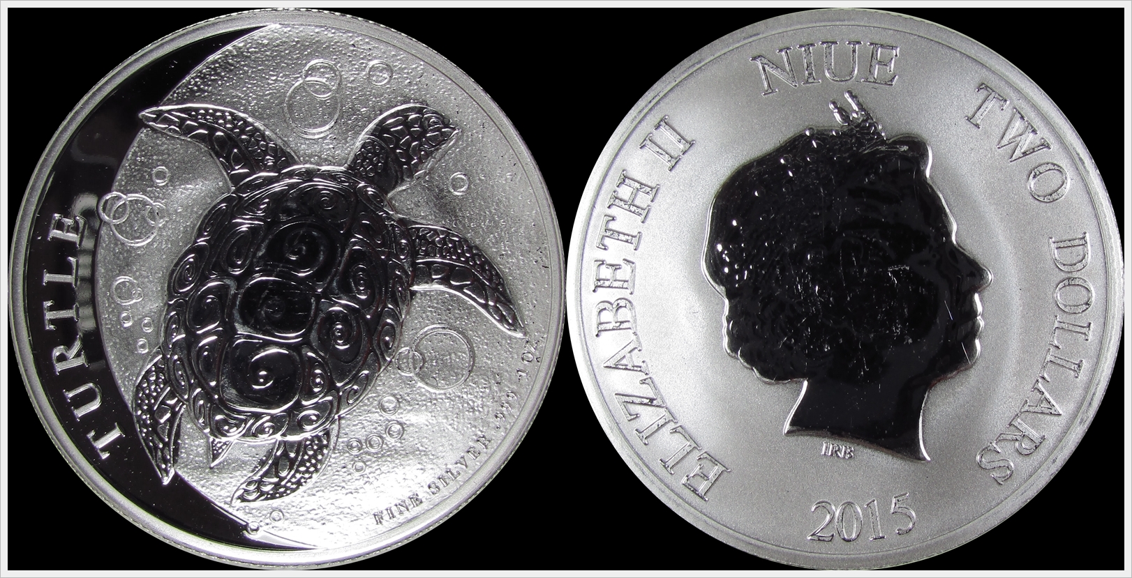 2015 Nuie Turtle.jpg