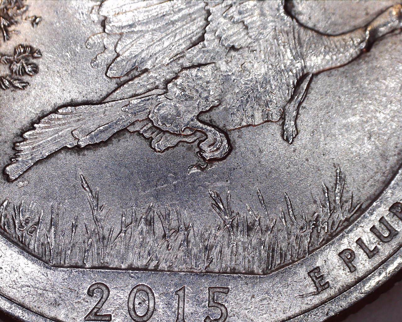 2015 quarter.jpg