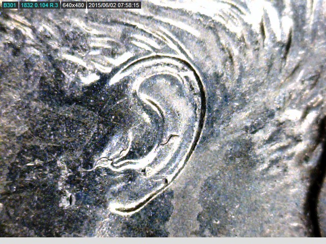 2015 Roosevelt ear.jpg