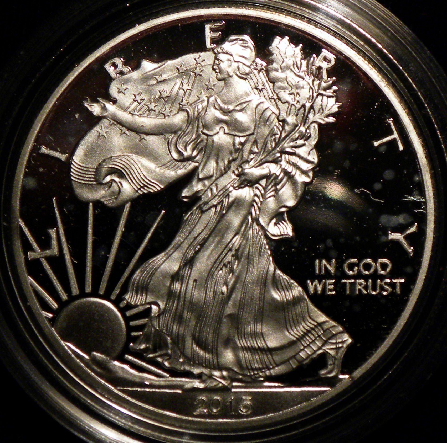 2015 Sil Eagle Pr Fake O Nikon.jpg